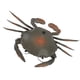 thumbnail image 1 of Juguete de Cangrejo RC, Animales de Vida Marina Estimulante Moviente Físico Juguete de Cangrejo Eléctrico para Regalo de CumpeLos, 1 of 7