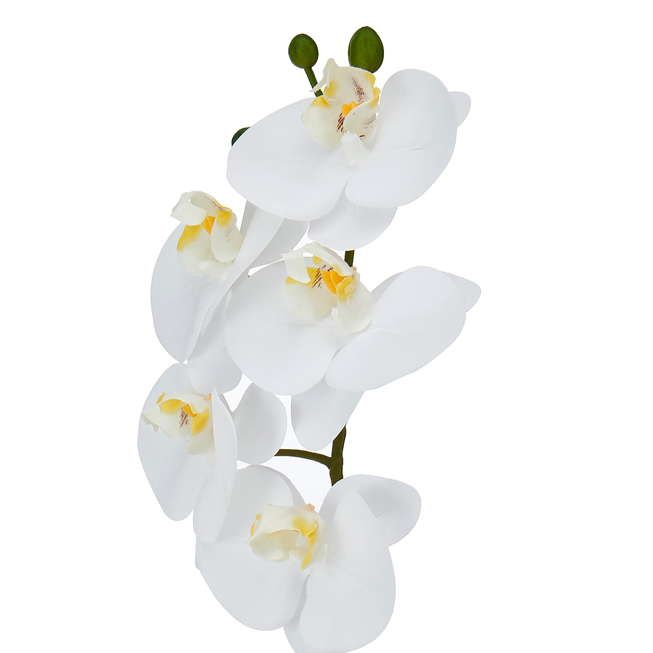 Home Accents 16-inch Artificial Real Touch Phalaenopsis Orchid in Faux Aged Cement Pot, White/Yellow