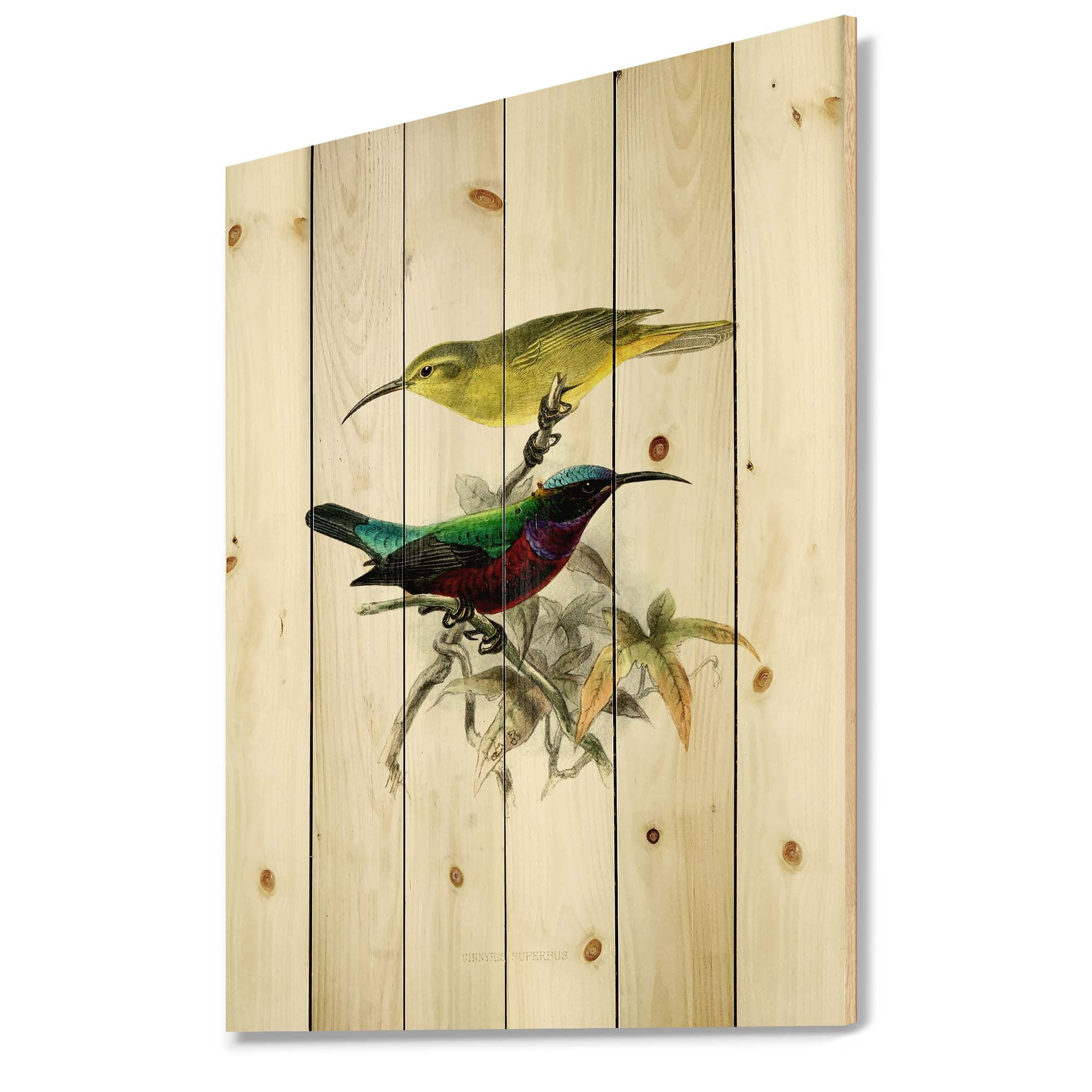 Designart 'Ancient Australian Birds XV' Traditional Print on Natural Pine Wood