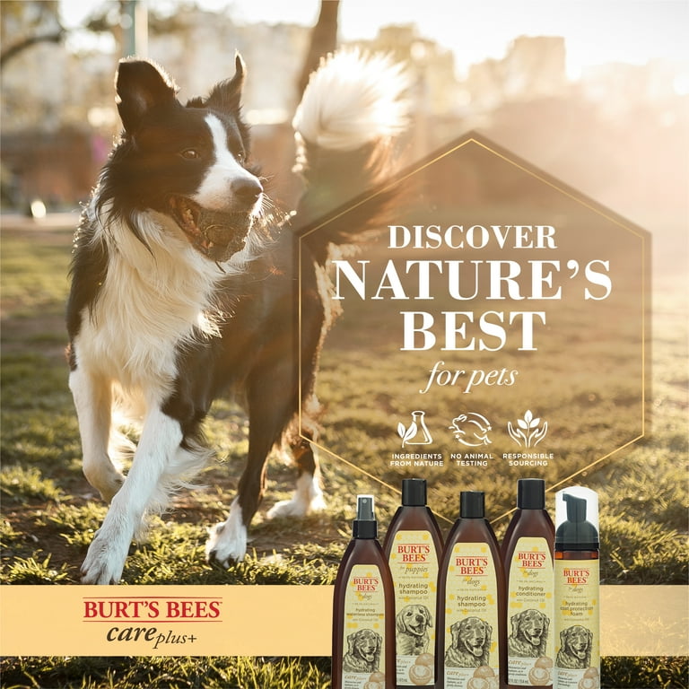 Burt's bees waterless top shampoo for dogs
