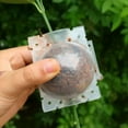 thumbnail image 4 of Plant Rooting Ball Propagation Root Box Reusable Plant Root Breeding Ball Garden Cuttings Grafting High Pressure Propagation Pot, 4 of 9