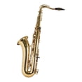 thumbnail image 2 of Saxofón Tenor en Si bemol y llave de Fa VOSI TS2155LQ-AH ANTIGUA dorado, 2 of 5