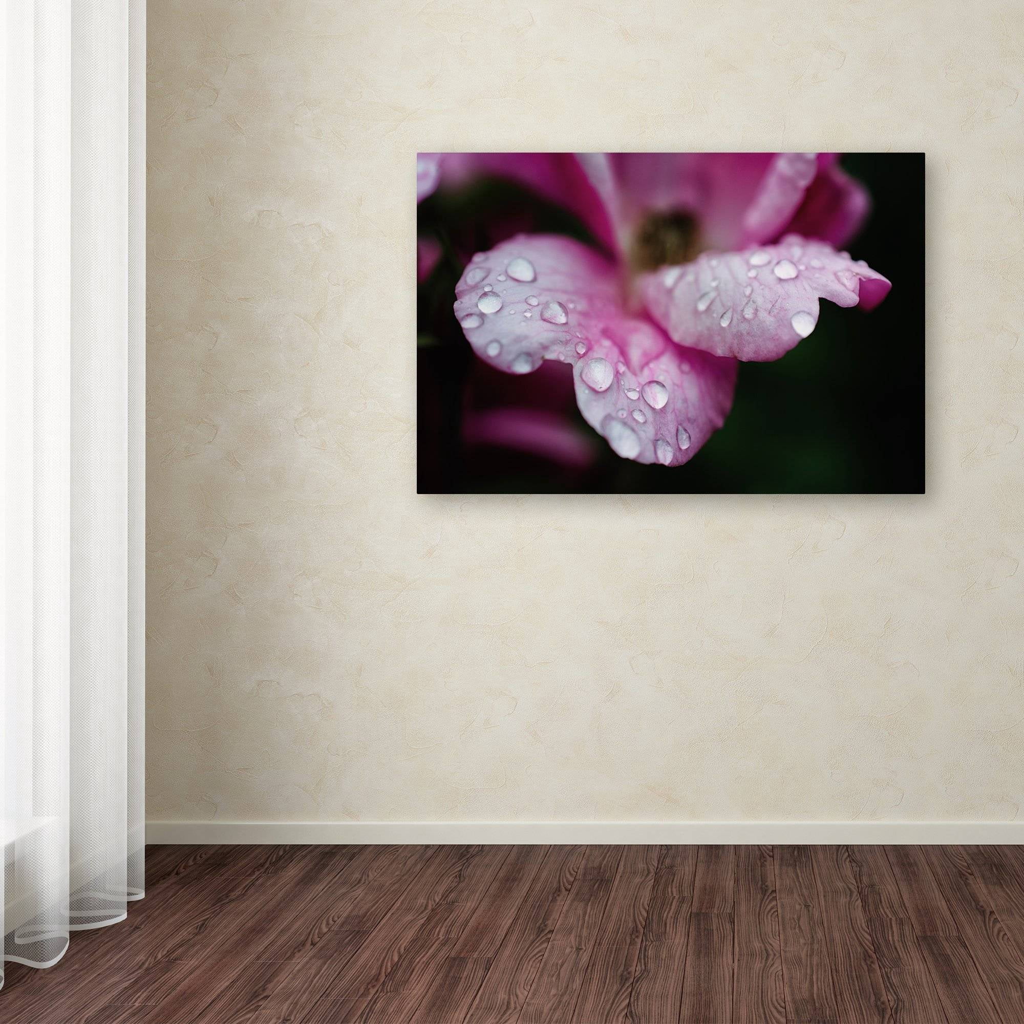 Trademark Fine Art 'Raindrops on Wild Rose Color' Canvas Art by PIPA Fine Art