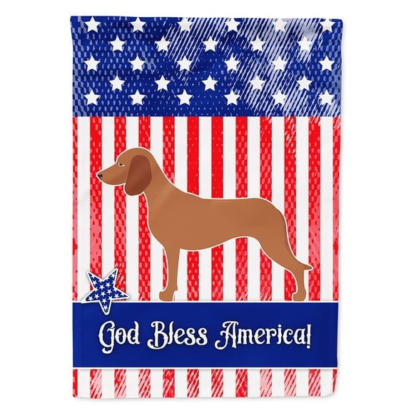Bavarian Mountian Hound American Flag Canvas House Size