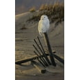 thumbnail image 2 of Goebel, Wilhelm 13x18 Gold Ornate Wood Framed with Double Matting Museum Art Print Titled - Dune Watcher - Snowy Owl, 2 of 4