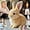 Brown, variant on Fanyil Bunny Pal, Fanyil™ Bunnypal, Family Interactive Bunny Palm Pal, Bunby - My Realistic Toy,Libiyi/Yifare - Bunnypal Can Walk and Talk Shaking Ears Realistic Plush Easter Gifts (Brown)