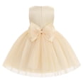 thumbnail image 2 of IBTOM CASTLE Toddler Little Flower Girls Princess Tulle Dress Sleeveless Floral Embroidery Tutu 3D Butterfly Back Bowknot For Wedding Birthday Party Evening Formal 2-3T Champagne, 2 of 7