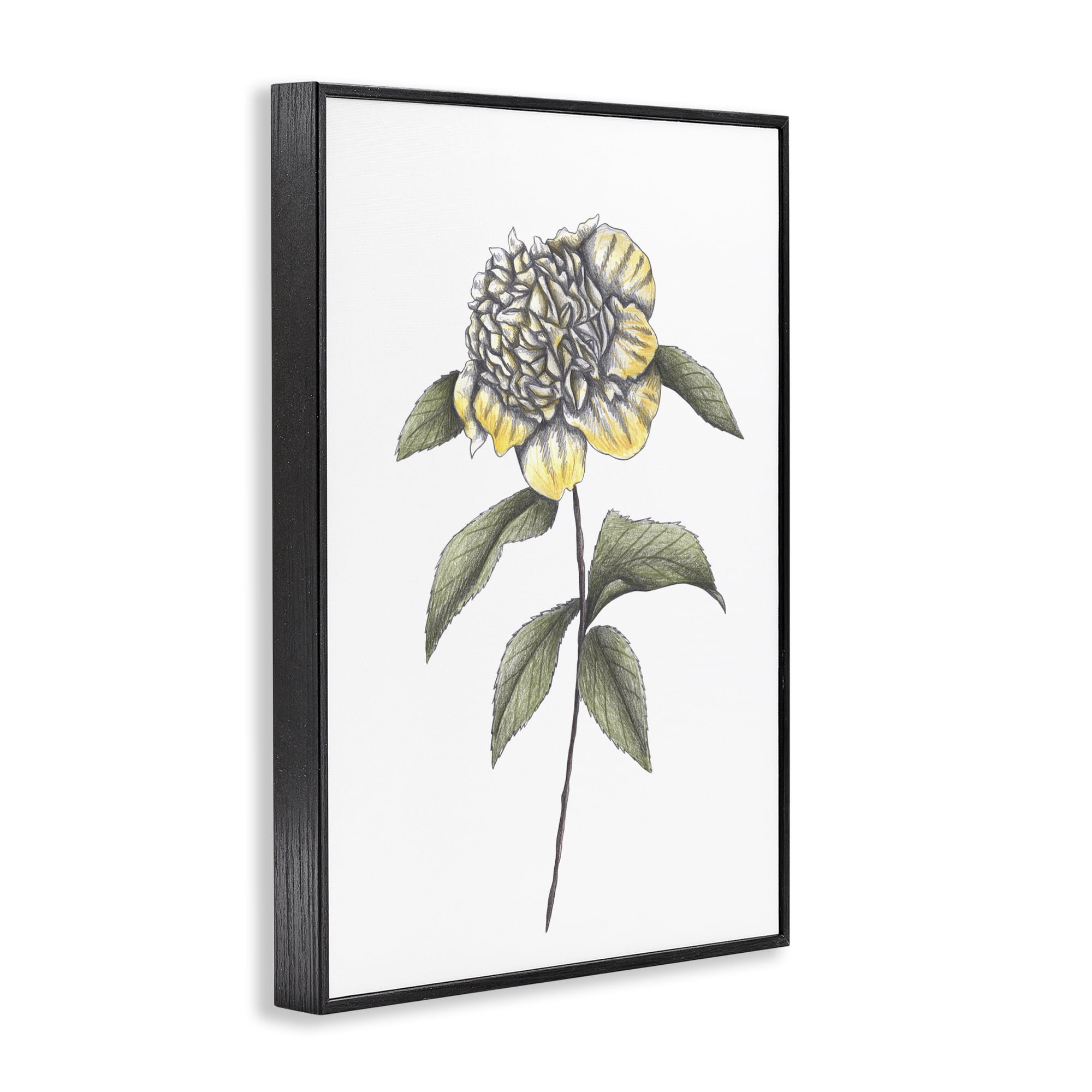 Camellia Flower Illustration Black Framed Giclee Art, design by Cecilia Battaini