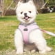 thumbnail image 3 of Escape Proof Cat Harness and Leash Set Adjustable Mesh Dog Harness Vest Puppy Pet Walking Lead Leash(A), XL, 3 of 5
