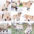 thumbnail image 5 of Manchon de Jambe pour Chien Chiot Protection de Patte avant Coussinets Doux Support de Coude Chien Gris, 5 of 5