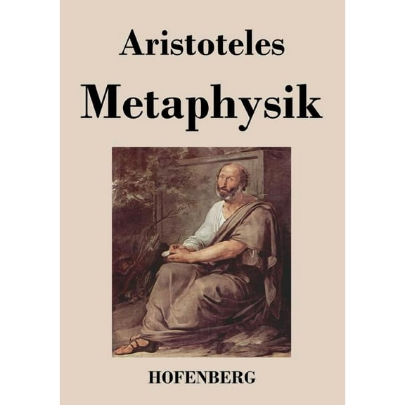 Metaphysik (Paperback)