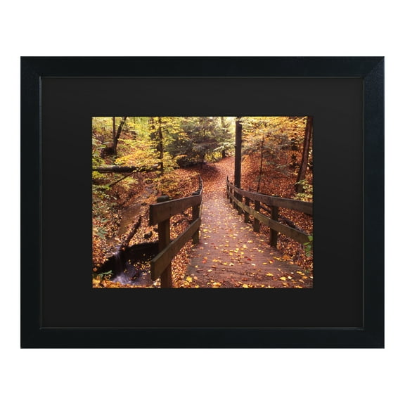Trademark Fine Art 'Autumn Bridge' Canvas Art by Kurt Shaffer