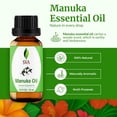 thumbnail image 3 of SVA Manuka Essential Oil – 1/3 Fl Oz – 100% Natural Manuka Oil - for Diffuser, Hair Care, Face, Skin Care, Aromatherapy, Scalp and Body Massage, Soap and Candle Making, 3 of 8