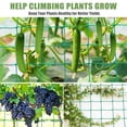 thumbnail image 4 of ‌DIY Garden Trellis Kit - Interconnecting 6FT-250FT Nylon Netting for Grapevines, Peas & Climbing Plants, 4 of 7