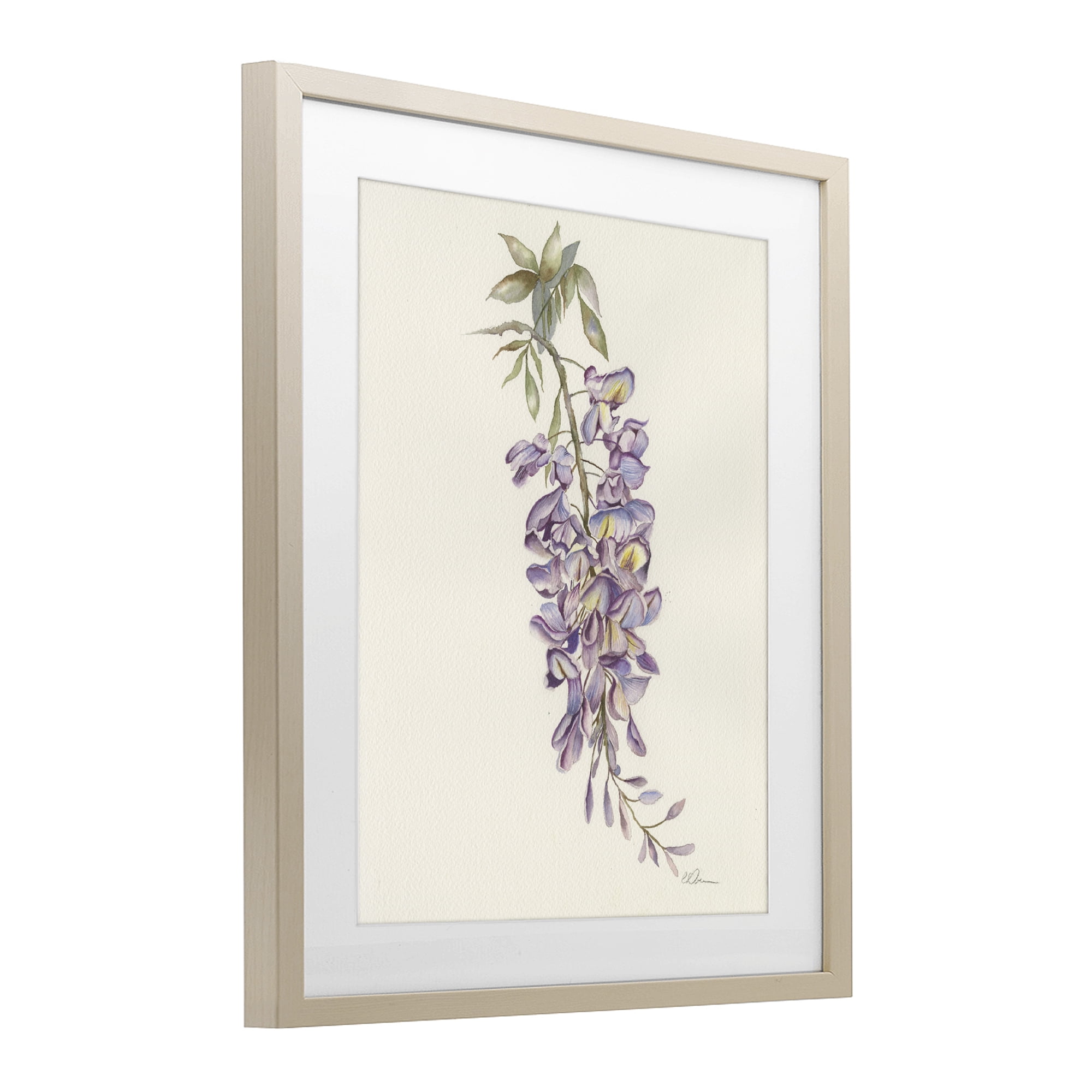 Stupell Industries Delicate Hyacinths Study Birch Framed Print Under Glass, design by Cady Driver