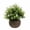 D, variant on Flower Pot Simulation Flower, Artificial Pot Flowers, Fake Plants, Small Fake Plants in Brown Plastic Pot, Mini Artificial Greenery Potted Plants for Home Decor, House Tabletop Decoration