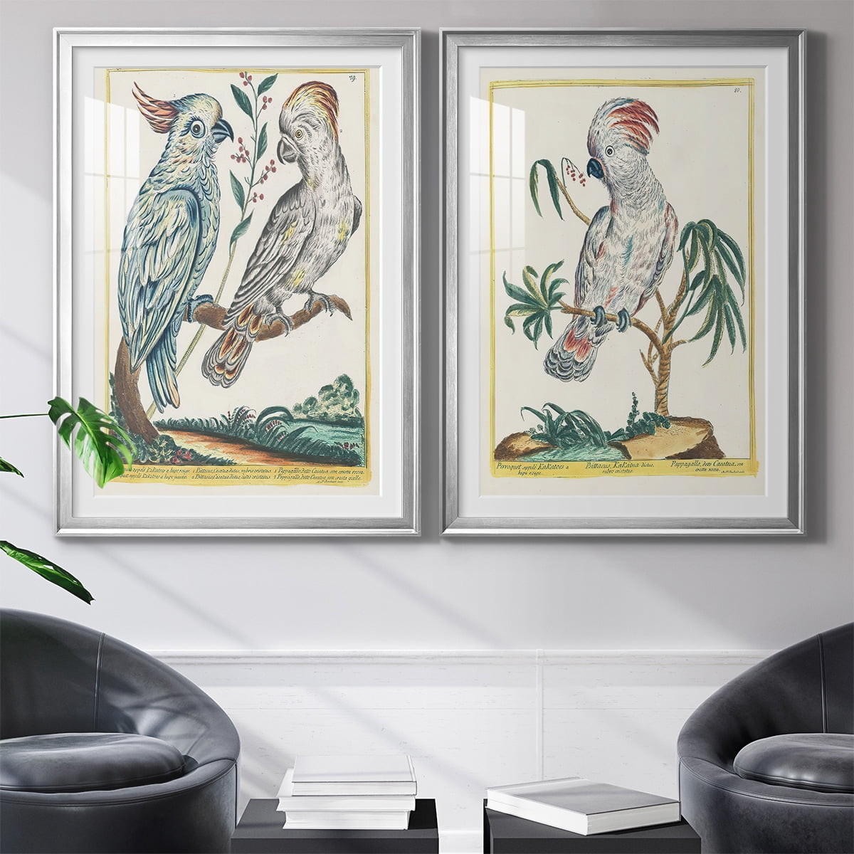 Wexford Home Pastel Birds I Premium Framed Print, 30.5" x 42.5" - Ready to Hang, Silver (Set of 2)