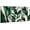 Tropical Leaf, variant on Emerald Green and Gold Plant Leaf Wall Art Boho Wall Decor for Living Room Bathroom Tropical Botanical Pictures Canvas Print Modern Artwork Abstract Leaves Painting Bedroom Home Decorations 12x16 3P
