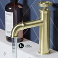 thumbnail image 4 of Avallon Single Hole, Single-Handle Wheel, Bathroom Faucet in Brushed Gold, 4 of 11