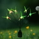 thumbnail image 3 of Hermosa luz de colibrí 2 modos de iluminación Lámpara de luciérnaga a prueba de agua para exteriores Hugtrwg Para estrenar, 3 of 9