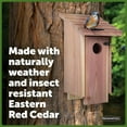 Pennington Red Cedar Bluebird Wild Bird House, 2 Pack 13'' Tail