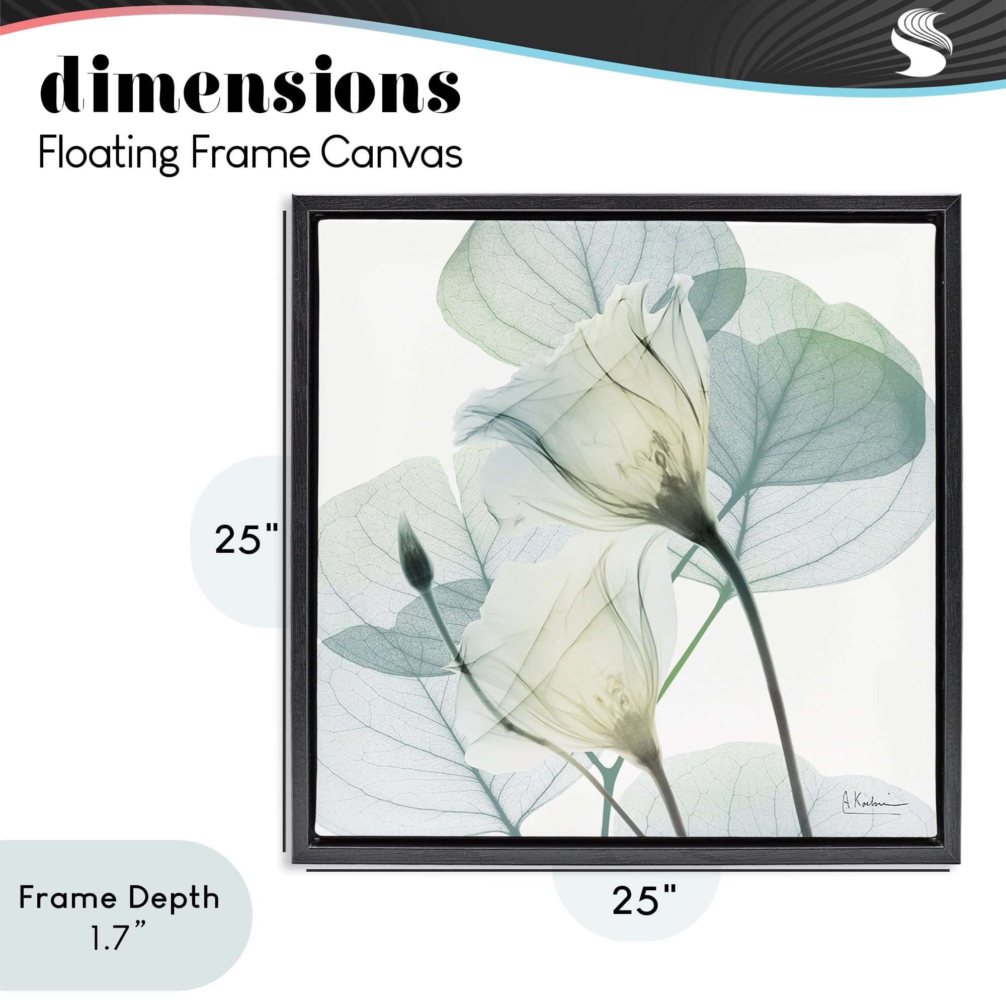 Stupell Industries Divine Fate Petals Black Framed Floater Canvas Wall Art, design by Albert Koetsier