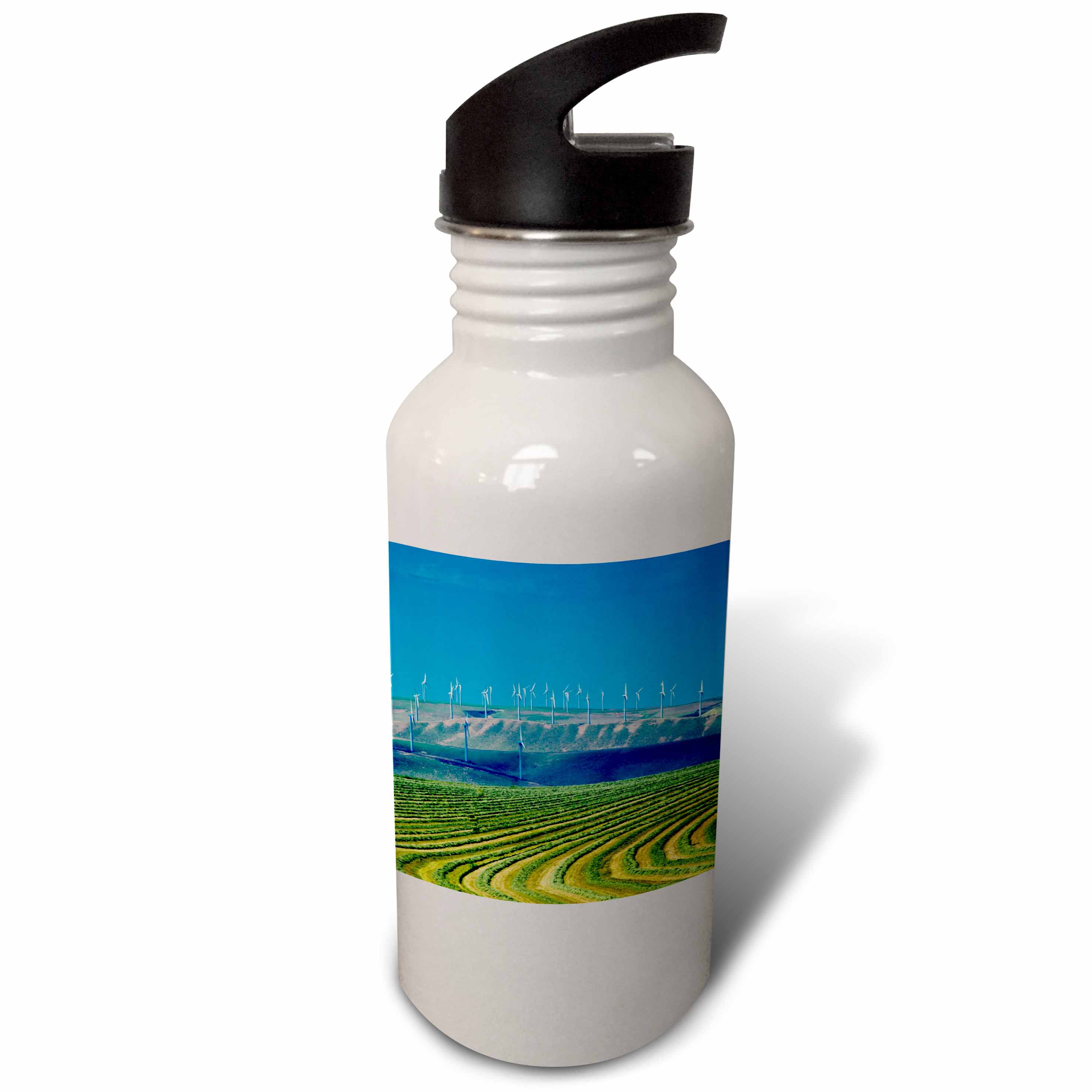 Stainless Steel Water Bottle-Walla Walla Washington – The Digital Traveler