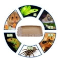 thumbnail image 3 of Cuenco de Comida para Anfibios Resina NS-14 perfecl, 3 of 8