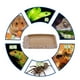 thumbnail image 3 of Cuenco de comida de agua de resina no de alimentación de es para mascota tortuga Gecko Gloria  Tazón de fuente de alimento de reptil, 3 of 9