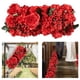 thumbnail image 5 of Fondo de pared de flores artificiales, arco de boda, flores, bricolaje, puerta arqueada, fila de flores Rojo, 5 of 7