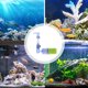 thumbnail image 5 of WORGEOUS Filtro bioquímico del acuario Filto de pescado de esponja tranquila Herramienta de aireación de peces, 5 of 7