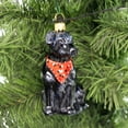 thumbnail image 3 of Labrador Retriever Black with Bandana Dog Polish Blown Glass Christmas Ornament, 3 of 3