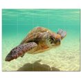 thumbnail image 1 of Turtle Picture Ceramic Tile Mural Kitchen Backsplash Bathroom Shower, 406080-L54, 1 of 9