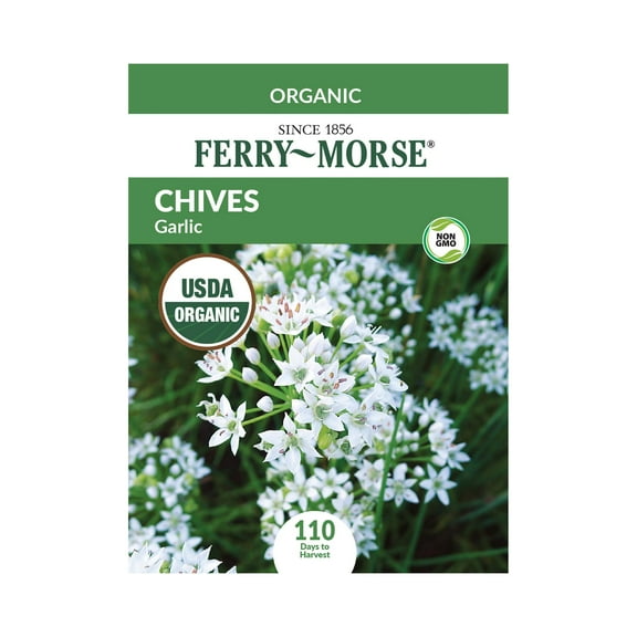 Ferry-Morse 200MG Organic Garlic Chives Perennial Herb Seeds, Full Sun