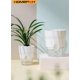 thumbnail image 3 of Typpkmm Lazy Hydroponic Flower Pot with Automatic Water-Absorbing, 3 of 7