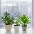 thumbnail image 5 of Hojas falsas, simulación de plantas verdes, plantas en macetas, decoración interior creativa, decoración de plantas artificiales., 5 of 5