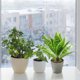 thumbnail image 5 of Hojas artificiales, simulación de plantas verdes, plantas en macetas, decoración interior creativa, decoración de plantas artificiales., 5 of 5