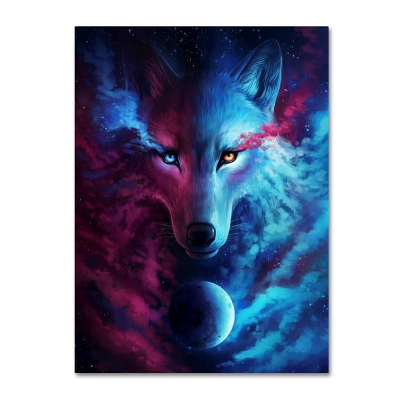 Trademark Fine Art 'Where Light and Dark Meet' Canvas Art by JoJoesArt