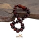 thumbnail image 4 of Amberalia, Pulsera de Ámbar Báltico de 16 cm para Adultos, con Broche de rosca y nudos entre cada una de las cuentas. Ámbar Importado de Lituania, Color Cereza Raw. Amberalia Pulsera adulto 16 cm broche, 4 of 9