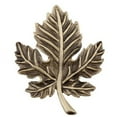 thumbnail image 2 of Acorn Manufacturing DQ4GP Artisan Collection Leaf Knob, Museum Gold, 2 of 3