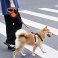 thumbnail image 4 of Suministros Para Perros, Correa Retráctil Para Perros Correa Larga Y Resistente Para Caminar Para Mascotas Con Fuerte Cinta Reflectante Mango Antideslizante Para Perros De Razas Pequeñas, Medianas Y G Muyoka Hogar, 4 of 5