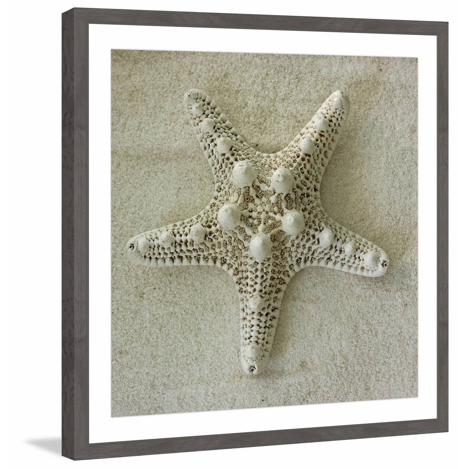 "Star of the Sea" Framed Painting Print