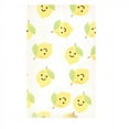 thumbnail image 3 of Hudson Baby Infant Girl Cotton Flannel Burp Cloths, Cute Fruit, One Size, 3 of 7