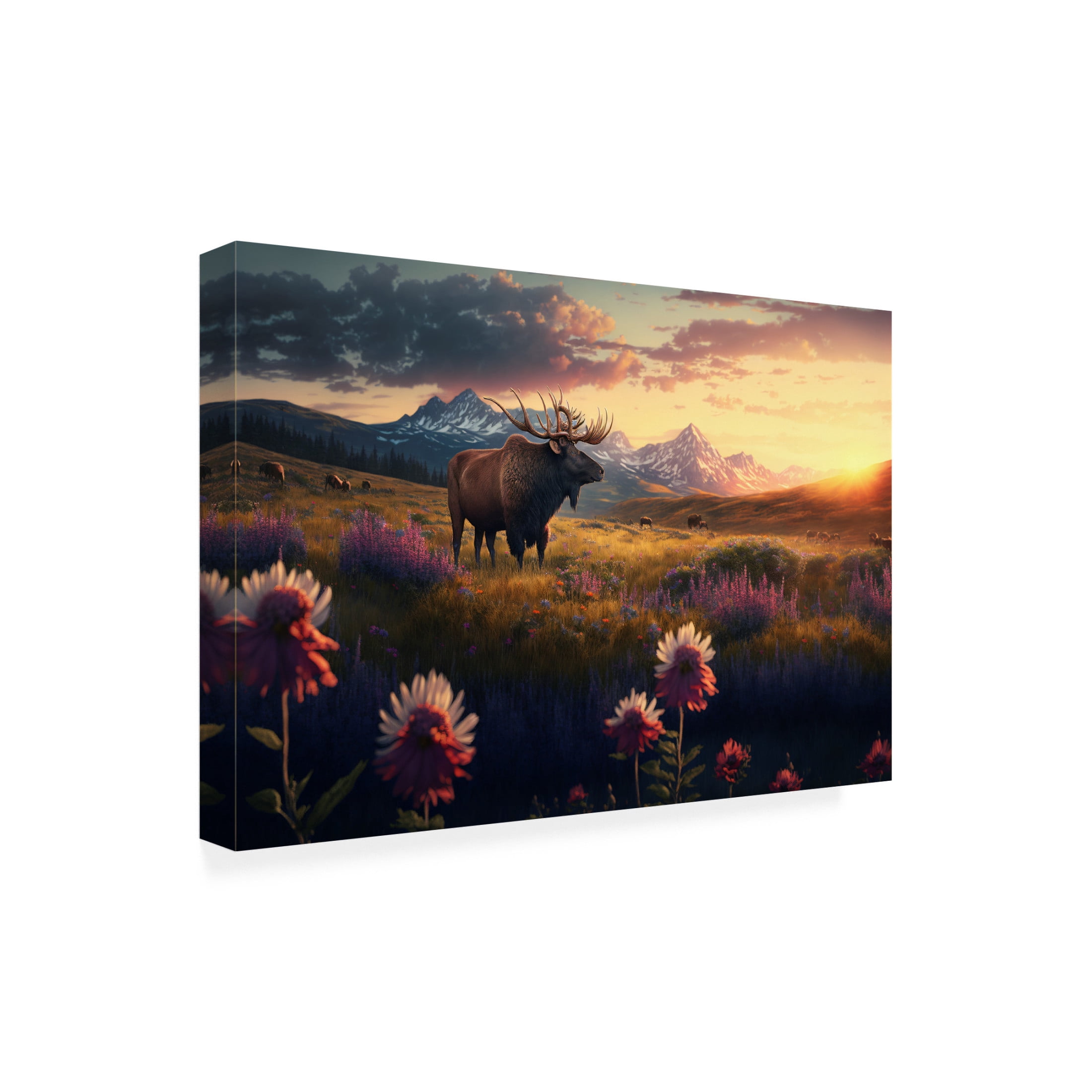 Canvas Wall Art - Ray Heere 'North American Wildlife 9' Wall Art for Living Room, Bedroom, or Office Décor by Trademark Fine Art - 47 x 30 Inches