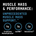 thumbnail image 5 of Beyond Raw Dynamic Gainer | High-Tech Mass Gainer | Optimized Absorption, Enhanced Strength, and Joint Stability | Strawberry Shortcake | 15 Servings, 5 of 7