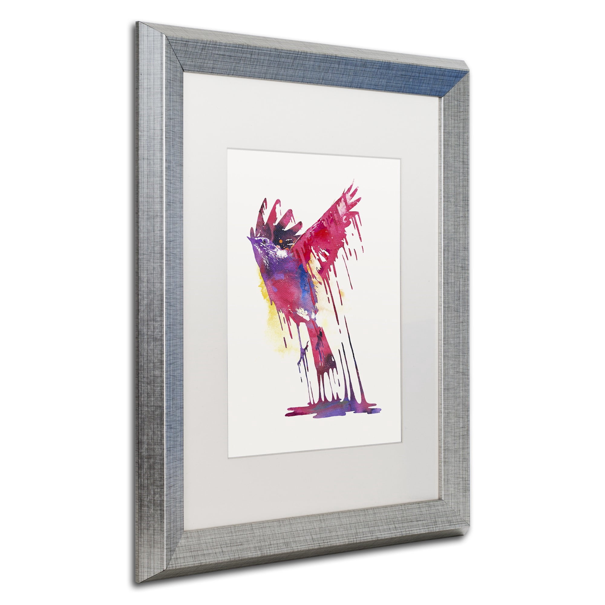 Trademark Fine Art 'The Great Emerge' Canvas Art by Robert Farkas, White Matte, Silver Frame