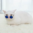 thumbnail image 5 of Cat Sunglasses Summer Outdoor Puppy UV Protection Sunglasses Dolls Sun Glasses Small Dog Cosplay Photo Props Cute Pet Sunglasses, 5 of 10