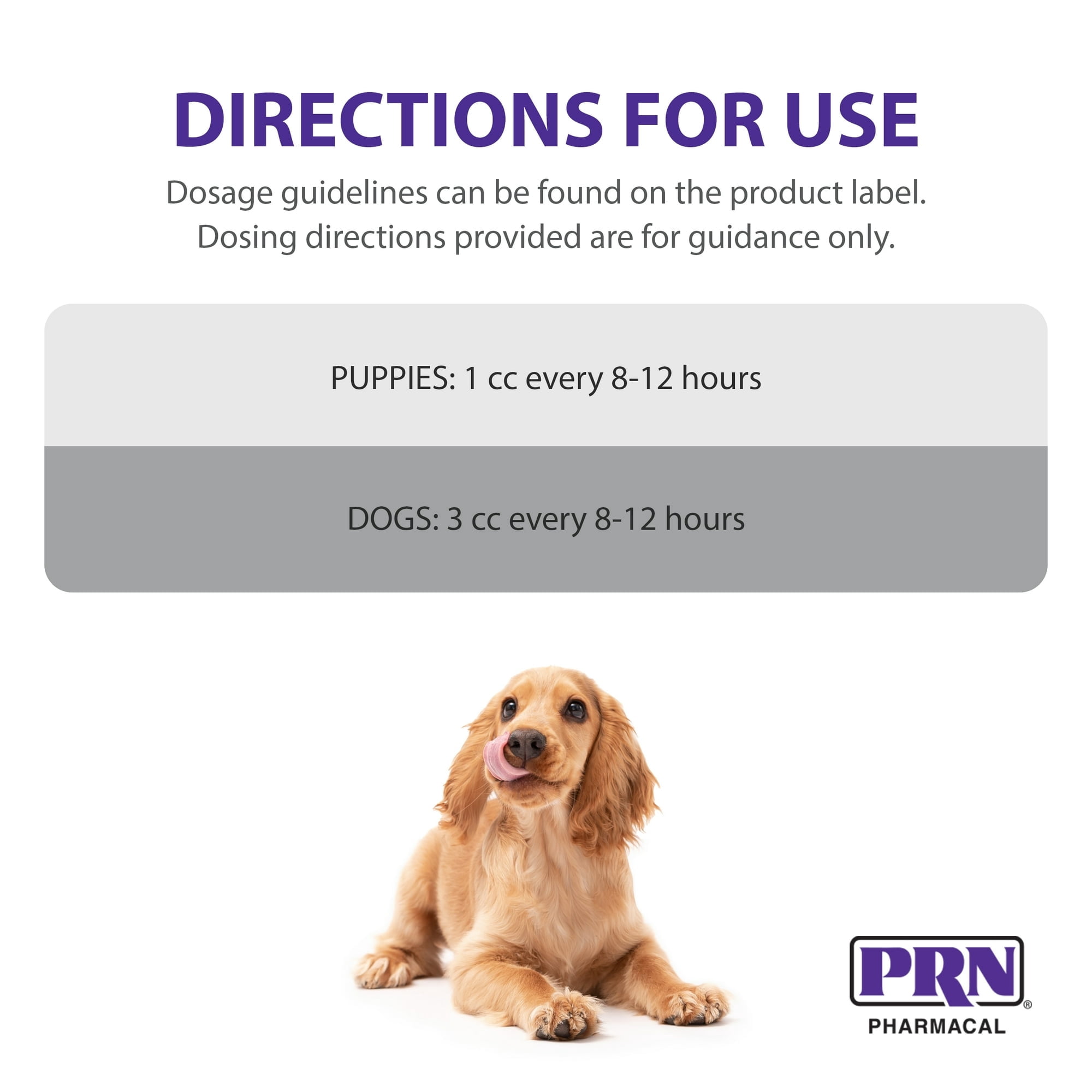 PRN Pharmacal Gastromate Canine IGY - Dog and Puppy Oral Probiotic Supplement to Help Support Digestive Health - With Antioxidants, Vitamins, Dietary Fiber - Salmon and Pork Flavoring - 12 mL Syringe