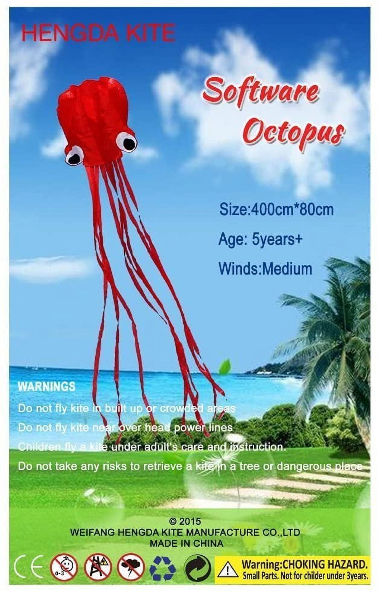 Soft Octopus Kite Series, Beautiful Kite with Long Colorful Tail for Kids and Adults, Easy to Fly Beach Kites, Excellent Outdoor Games and Activity Toys, Suitable for Beginners.