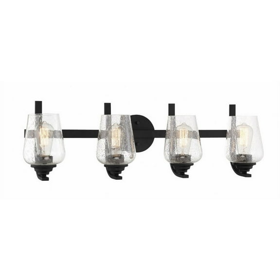 Shyloh 4-Light Bathroom Vanity Light in Coal